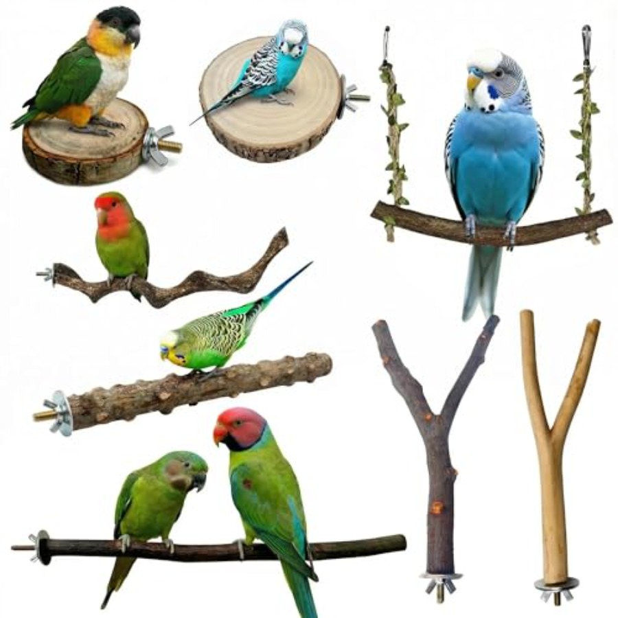 Health & Wellness Gordon Edlin - 8PCS natural wood bird perches for