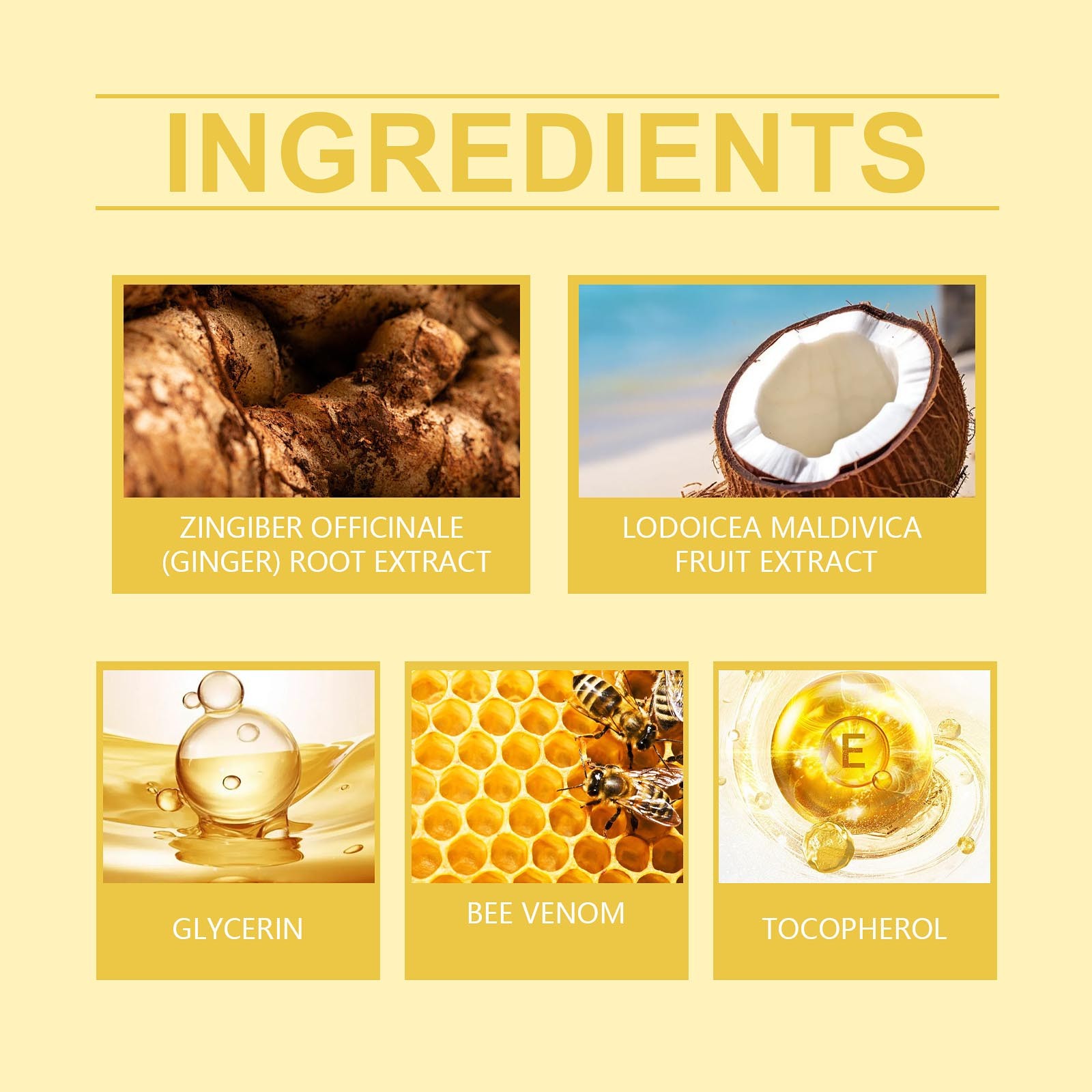 Bee Capsules Honey Bee Health  - Health Wellness Product ulasan dan harga